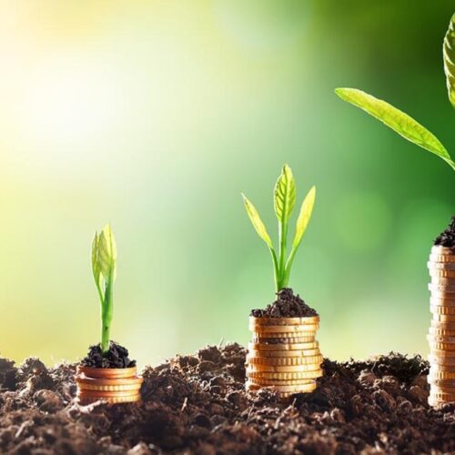 sustainable finance